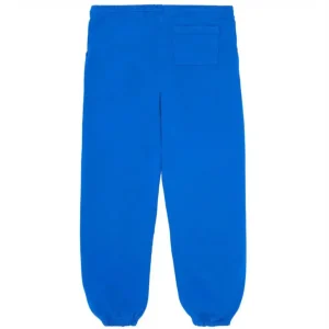 Photo 2 Sp5der TC Sweatpants Blue the back side